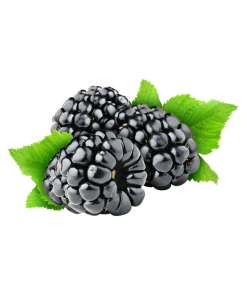 Alternative view of Blueberry Lemon Juice