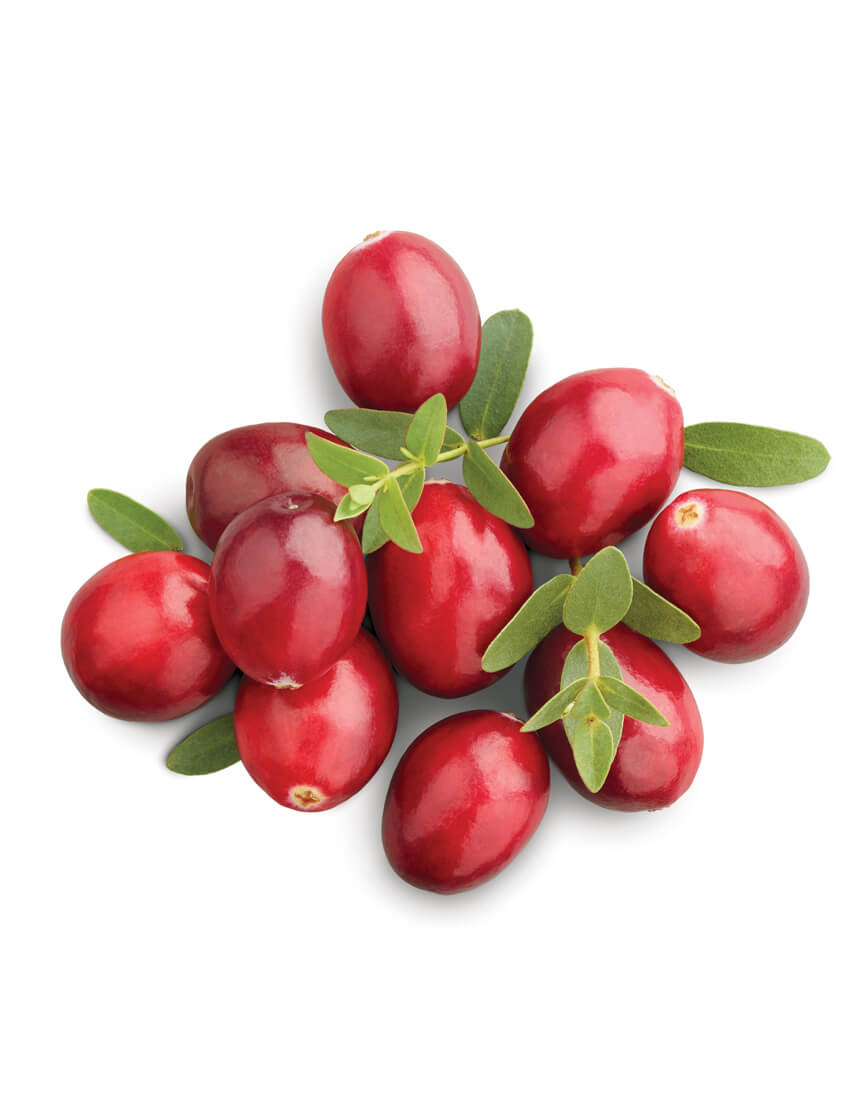 Pineapple Strawberry Mix Bundle - Ảnh 3